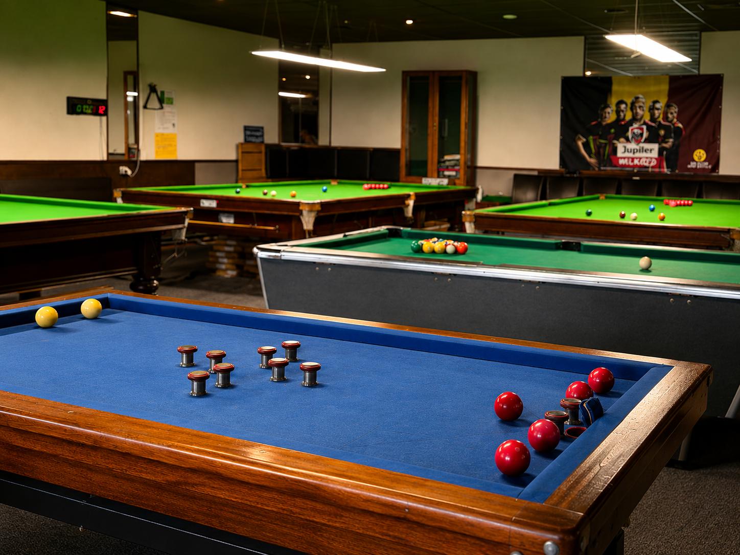 Pooltafel en tapbiljart De Wijngaard